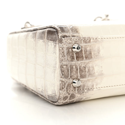 Christian Dior Niloticus Crocodile Himalaya Crystal Mini Lady Dior White 9 of 15