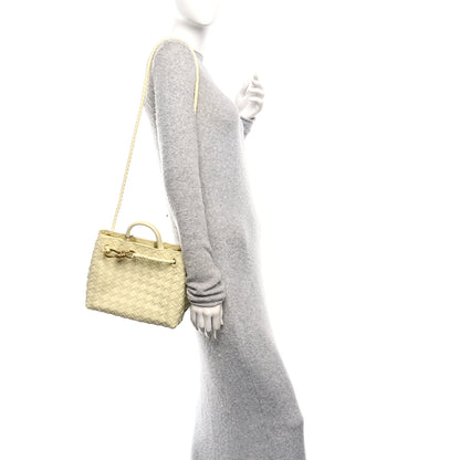 Bottega Veneta Nappa Intrecciato Small Andiamo Shoulder Bag Chamomile 2 of 10