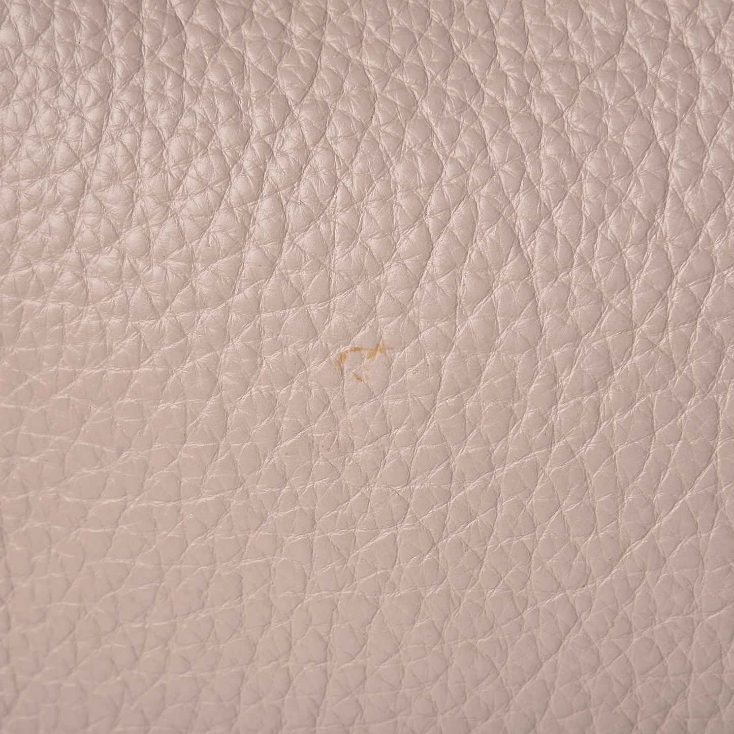 Vitello Small Chameleon Tote Beige Cipria