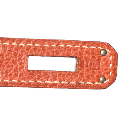 Hermes Vache Liegee Birkin 30 Brique 7 of 10