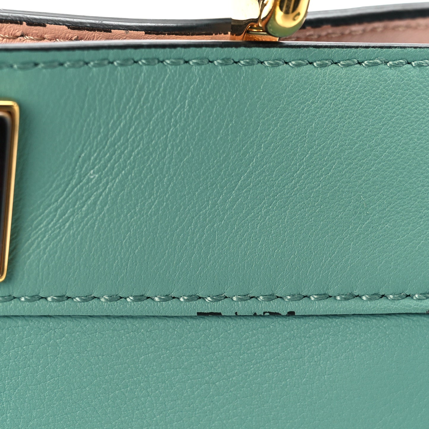 Vitello Seta Shiny Nappa Plexiglass Small Peekaboo I SEE U Satchel Menta Light Rose