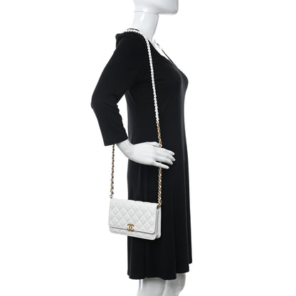 Chanel Lambskin Resin Quilted Wallet On Chain WOC White 2 of 13