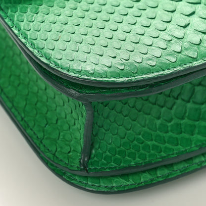 Celine Snakeskin Medium Classic Box Green 6 of 9