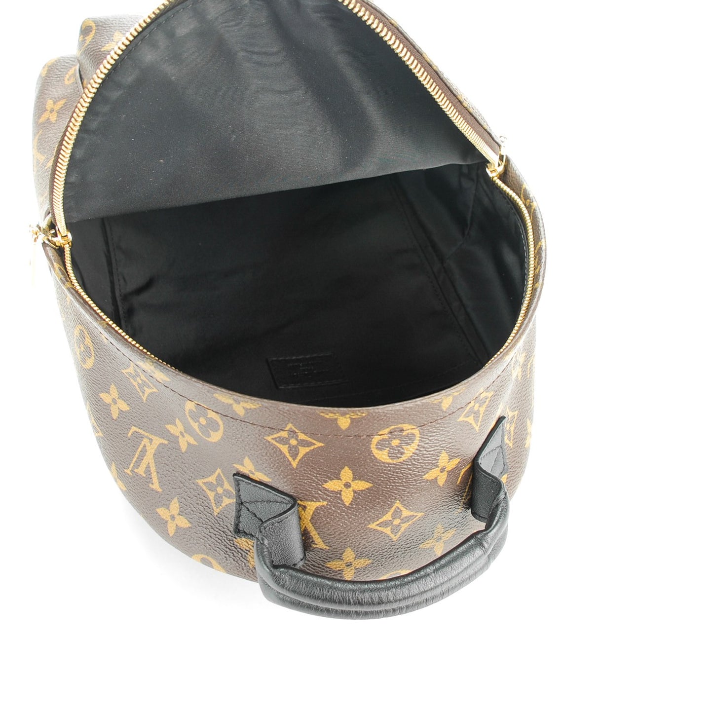Monogram Palm Springs Backpack PM