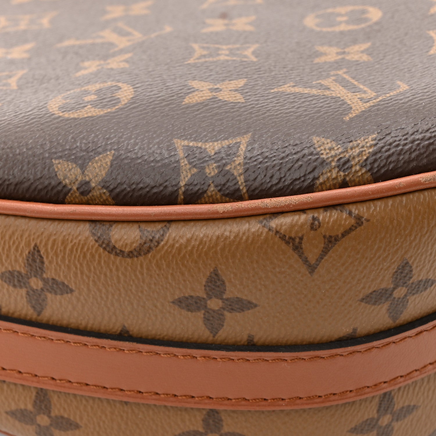 Louis Vuitton Reverse Monogram Loop Hobo 11 of 14