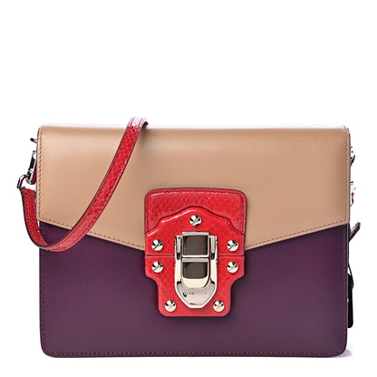 Dolce & Gabbana Calfskin Ayers Lucia Shoulder Bag Ghiaccio Mosto 1 of 11