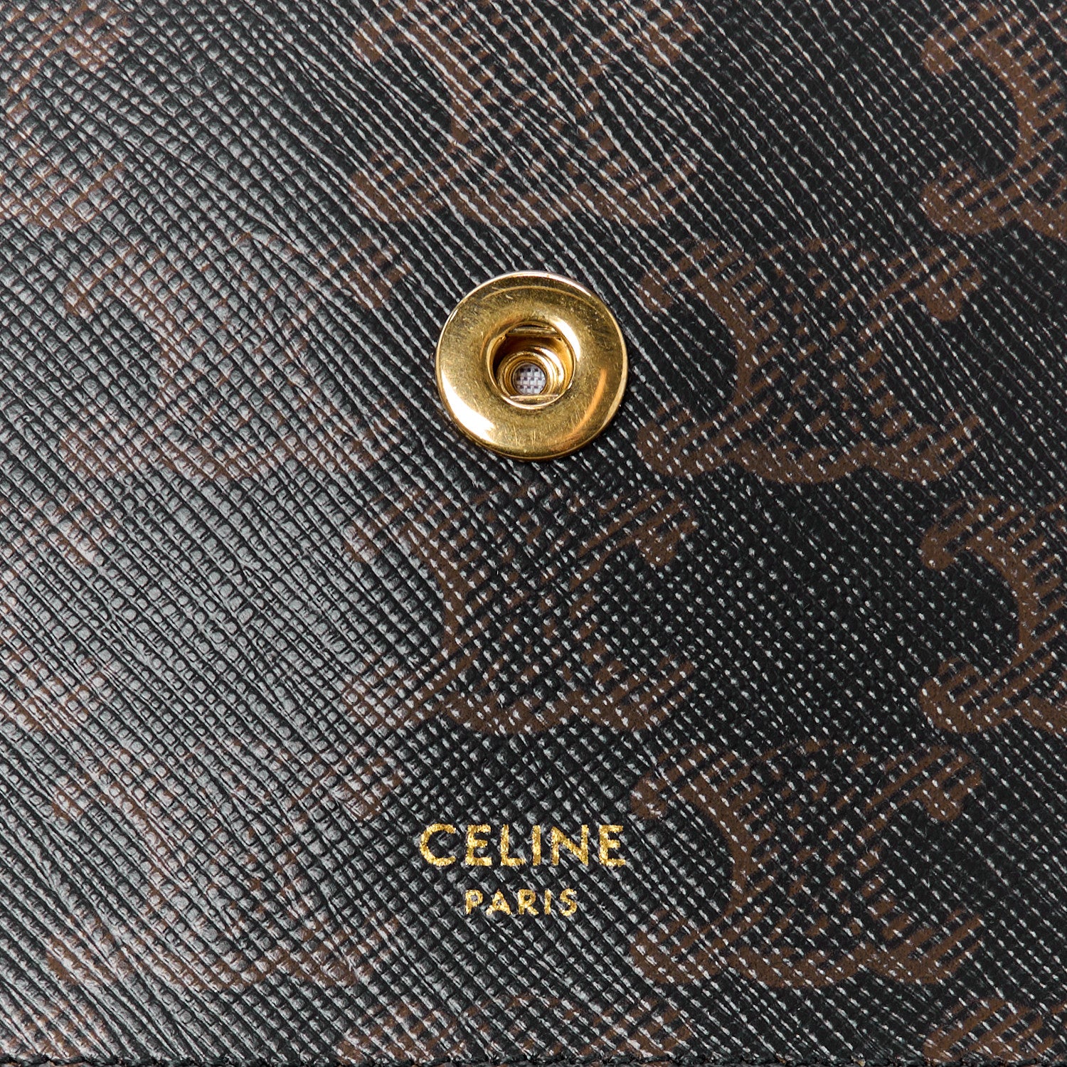 Celine Triomphe Canvas Lambskin Wallet On Strap Tan 8 of 13