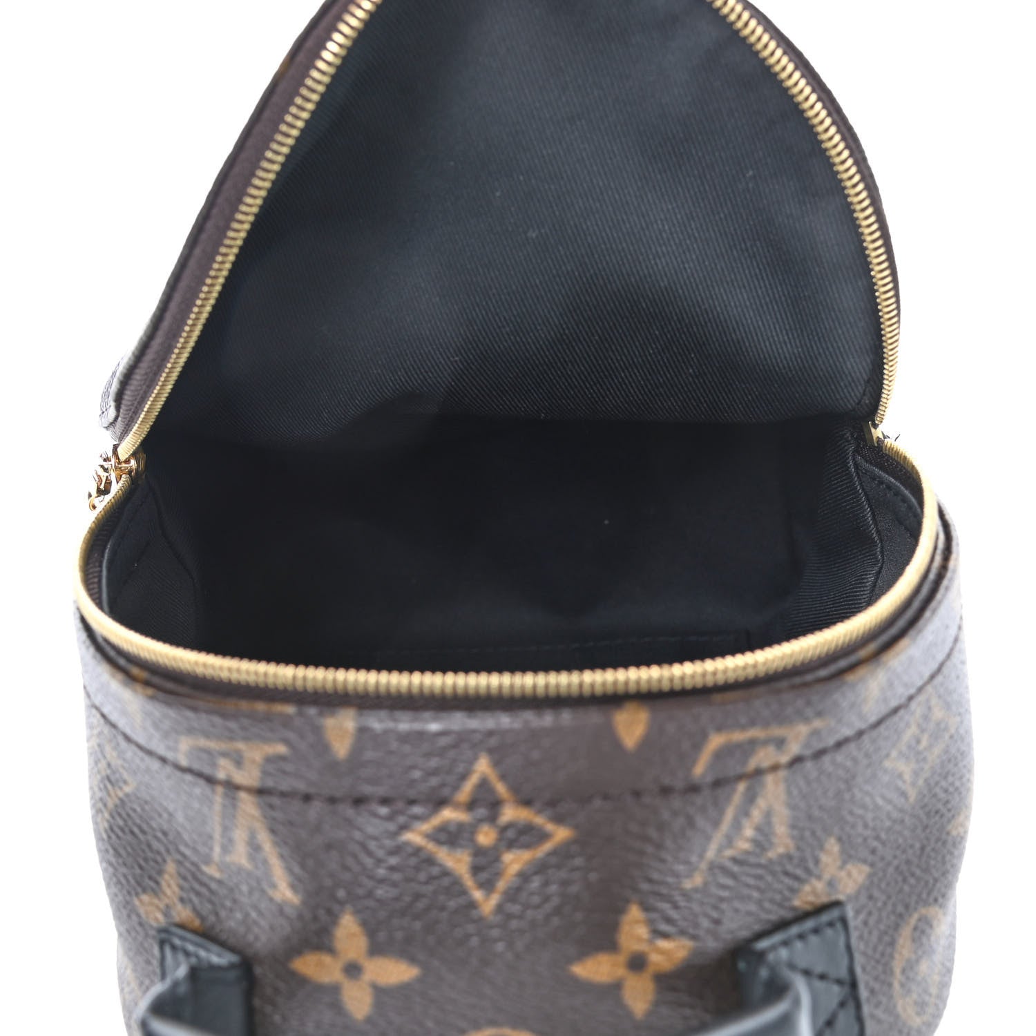Louis Vuitton Monogram Palm Springs Backpack Mini 4 of 5