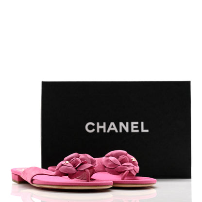 Chanel Suede Calfskin Camellia Thong Sandals 41 Pink 11 of 11