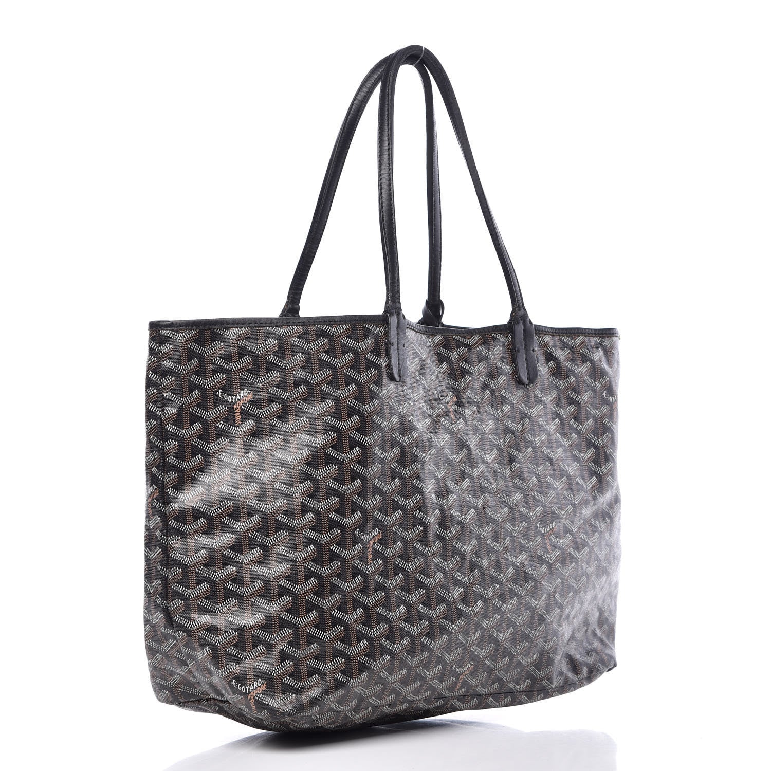 Goyard Goyardine Saint Louis PM Black 4 of 21