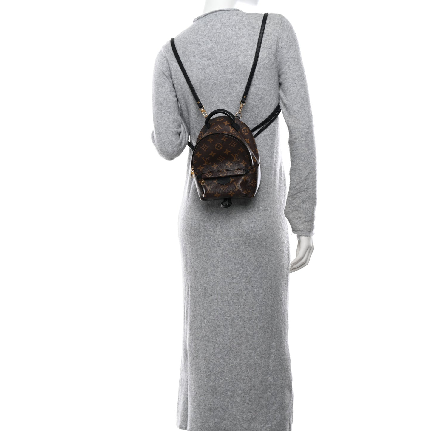 Monogram Palm Springs Backpack Mini