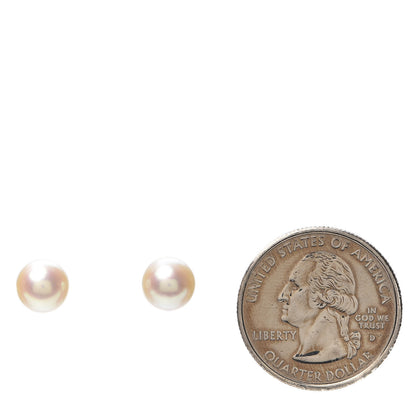 Tiffany 18K White Gold Akoya Pearl 8mm Signature Earrings 2 of 4