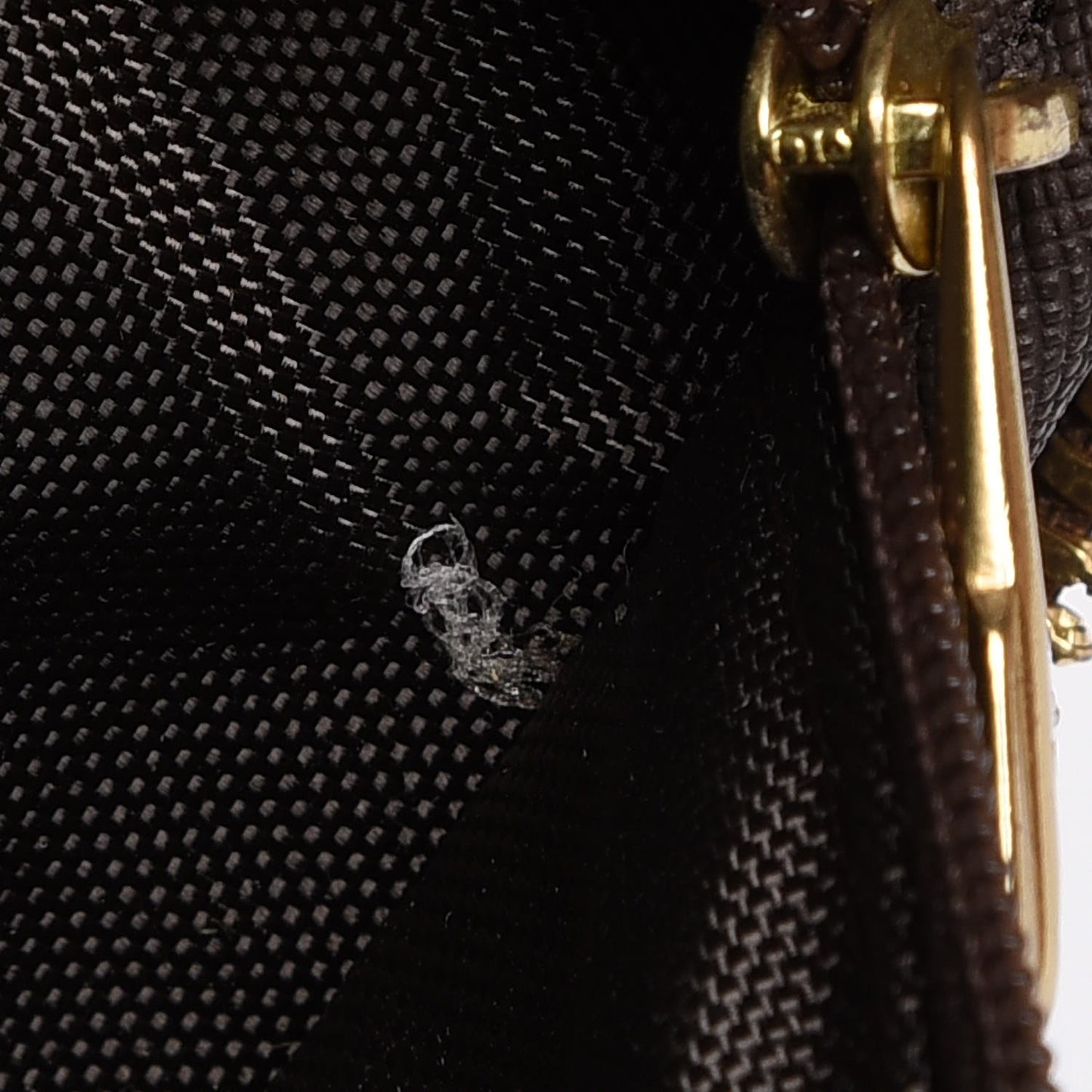 Monogram Pegase 55 Business