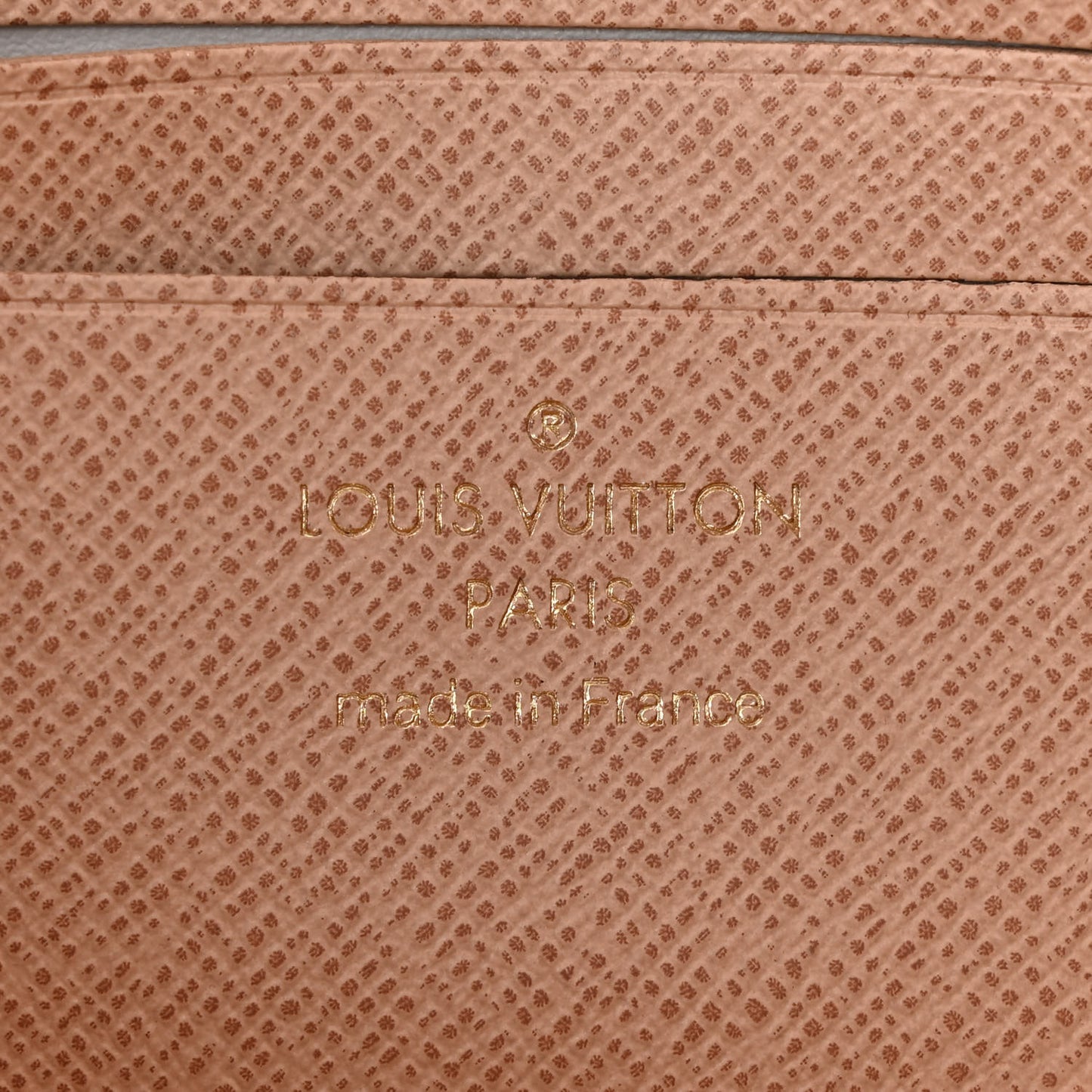 Monogram Dune Ivy Wallet On Chain