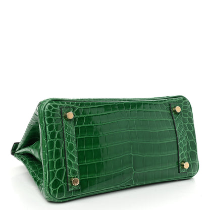 Hermes Shiny Niloticus Crocodile Birkin 25 Cactus 4 of 14