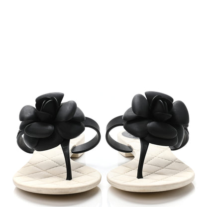Chanel Jelly Quilted Camellia Thong Sandals 35 White Black 2 of 4