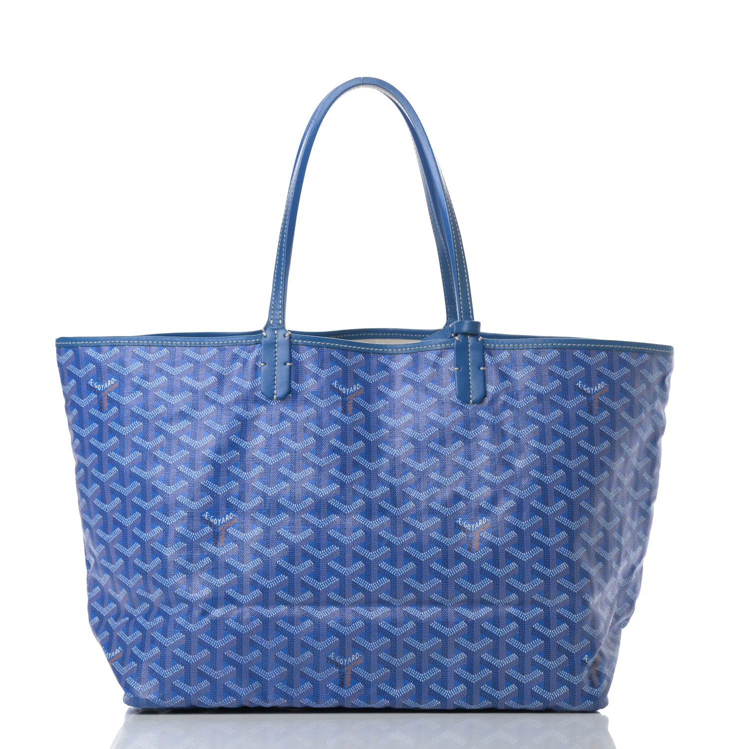 Goyard Goyardine Saint Louis PM Sky Blue 3 of 13