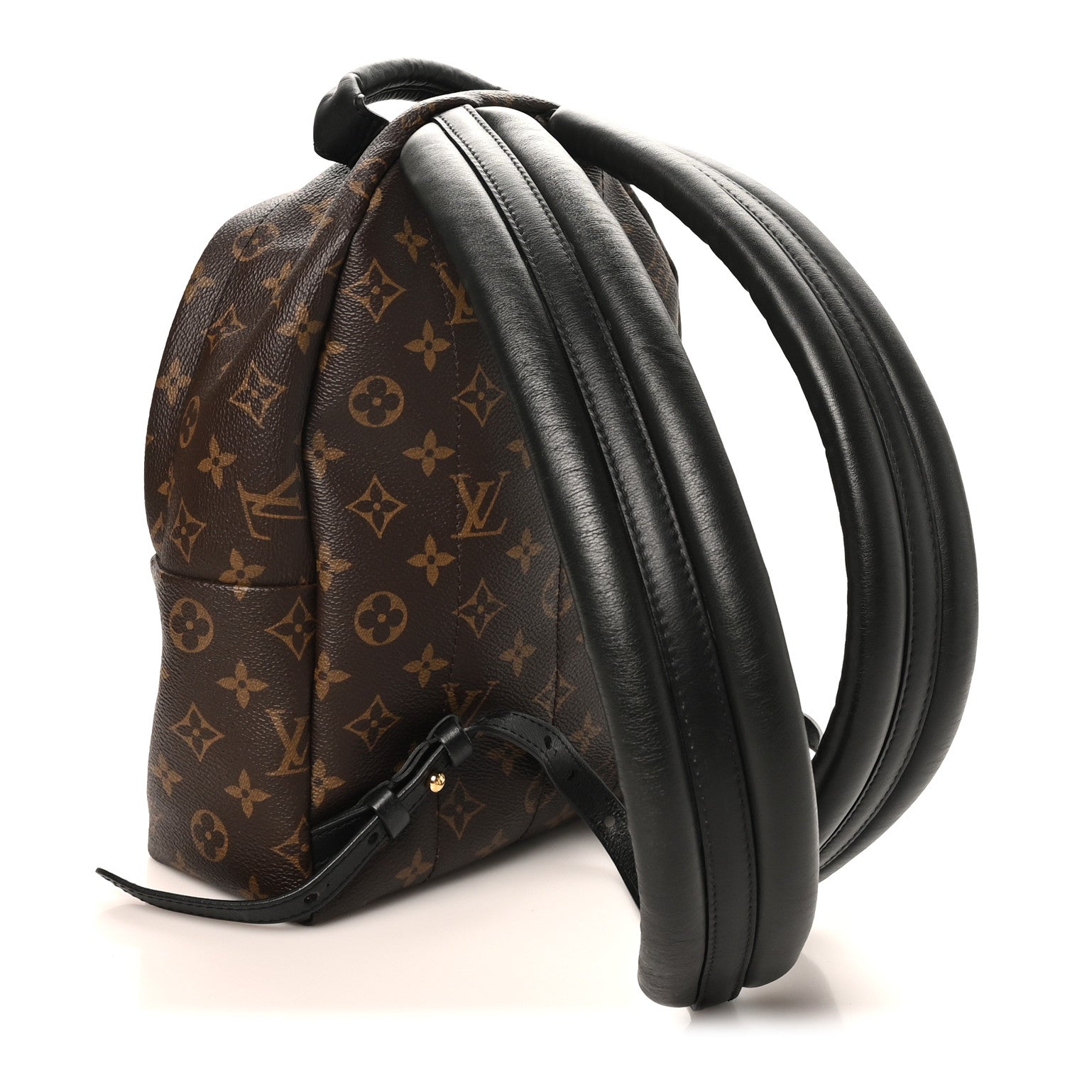 Louis Vuitton Monogram Palm Springs Backpack PM 2 of 8