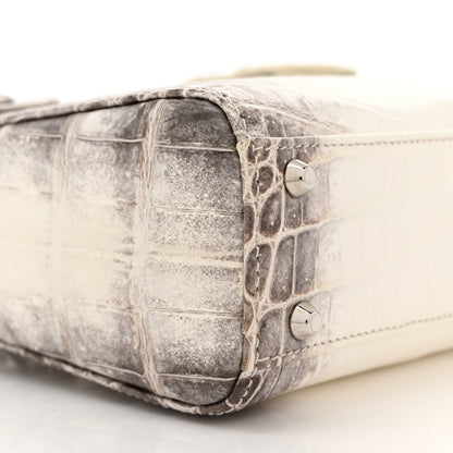 Christian Dior Niloticus Crocodile Himalaya Crystal Mini Lady Dior White 9 of 12