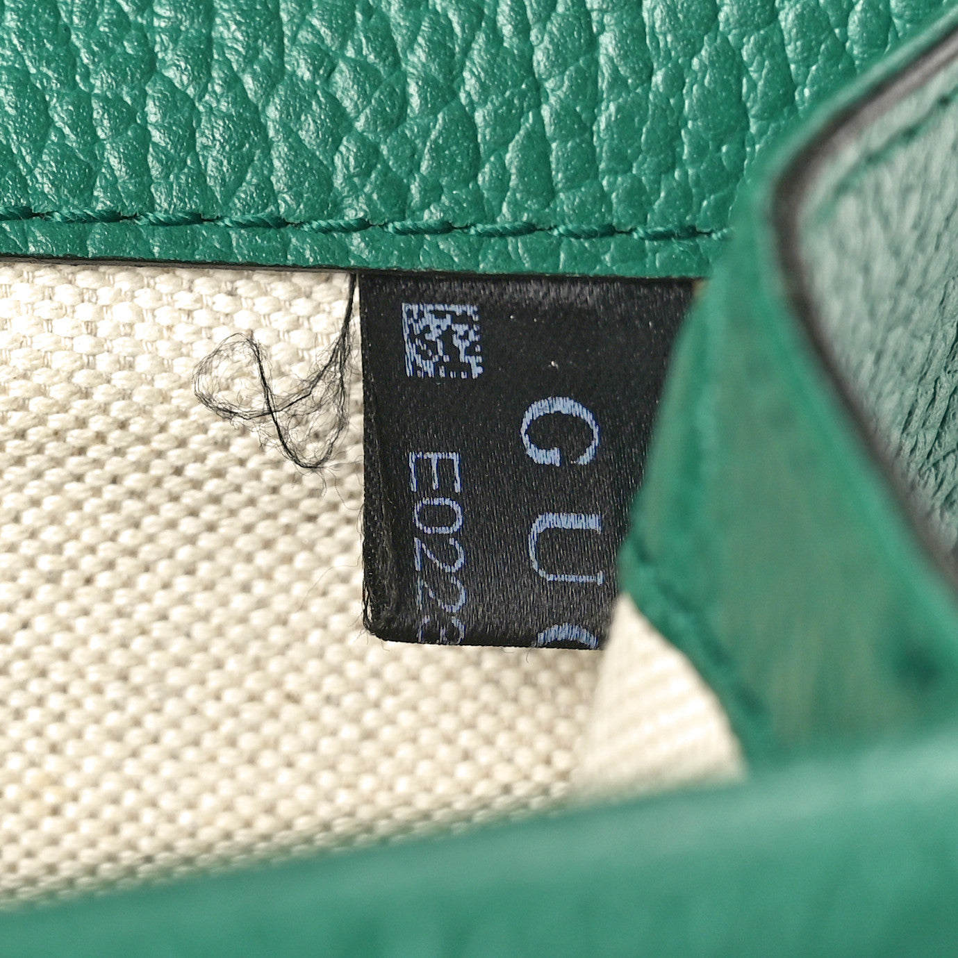 Calfskin Mini Dionysus Shoulder Bag Emerald