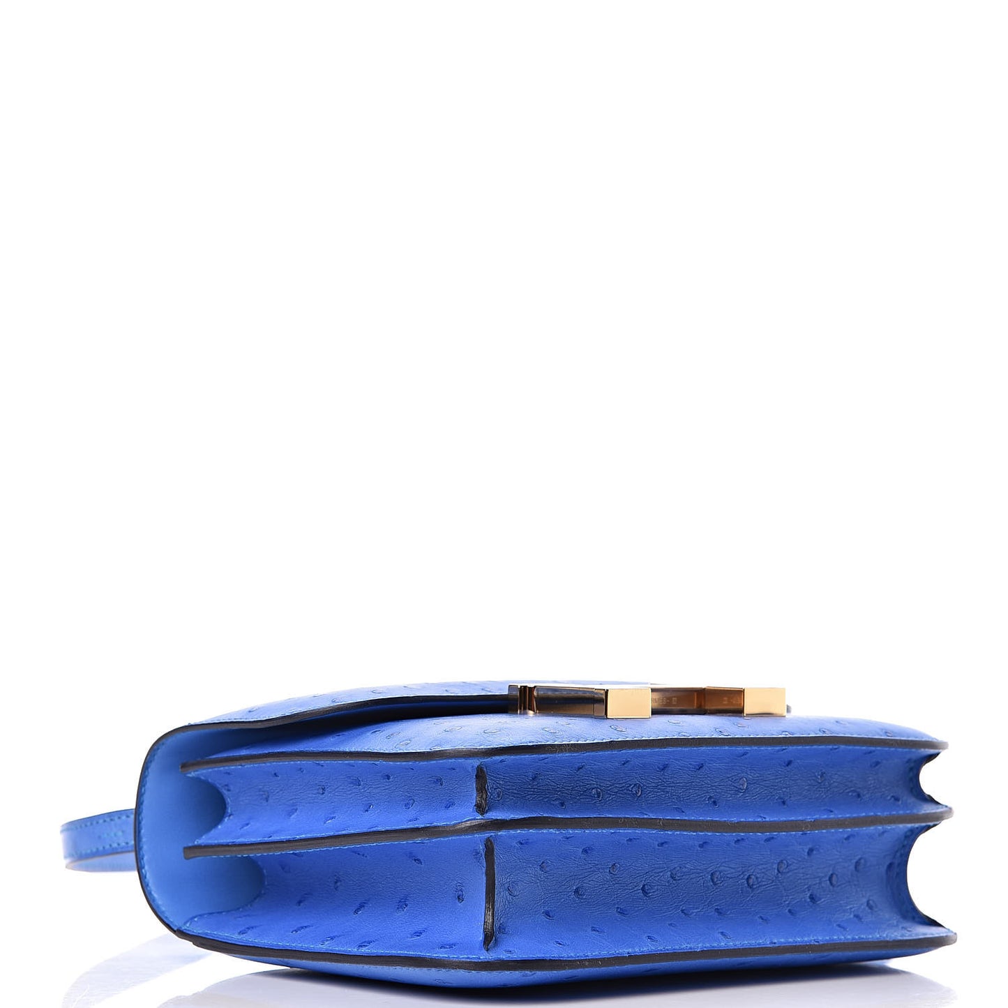 Ostrich Constance 18 Bleuet