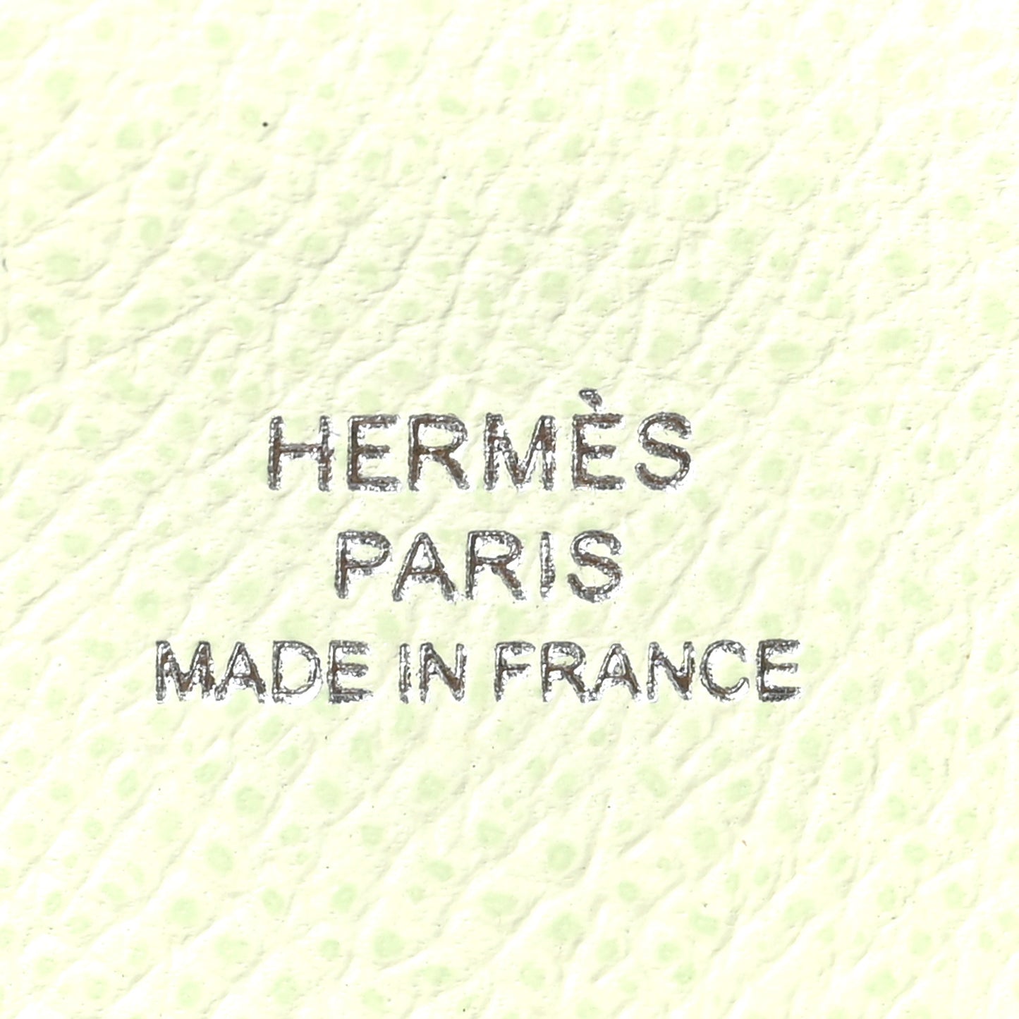 Epsom Calvi Card Case Vert Comics Vert Fizz