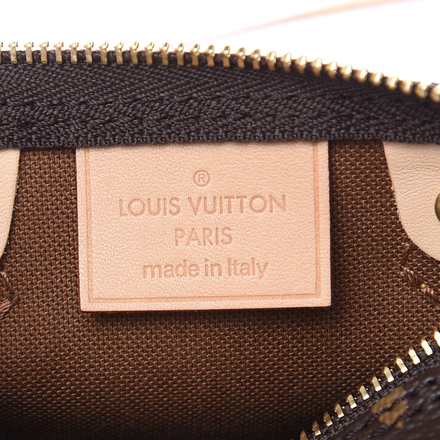 Monogram Nano Speedy