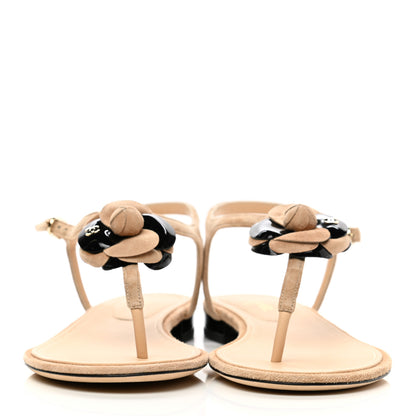Chanel Suede Patent Calfskin Camellia Thong Sandals 41 Beige Black 2 of 9