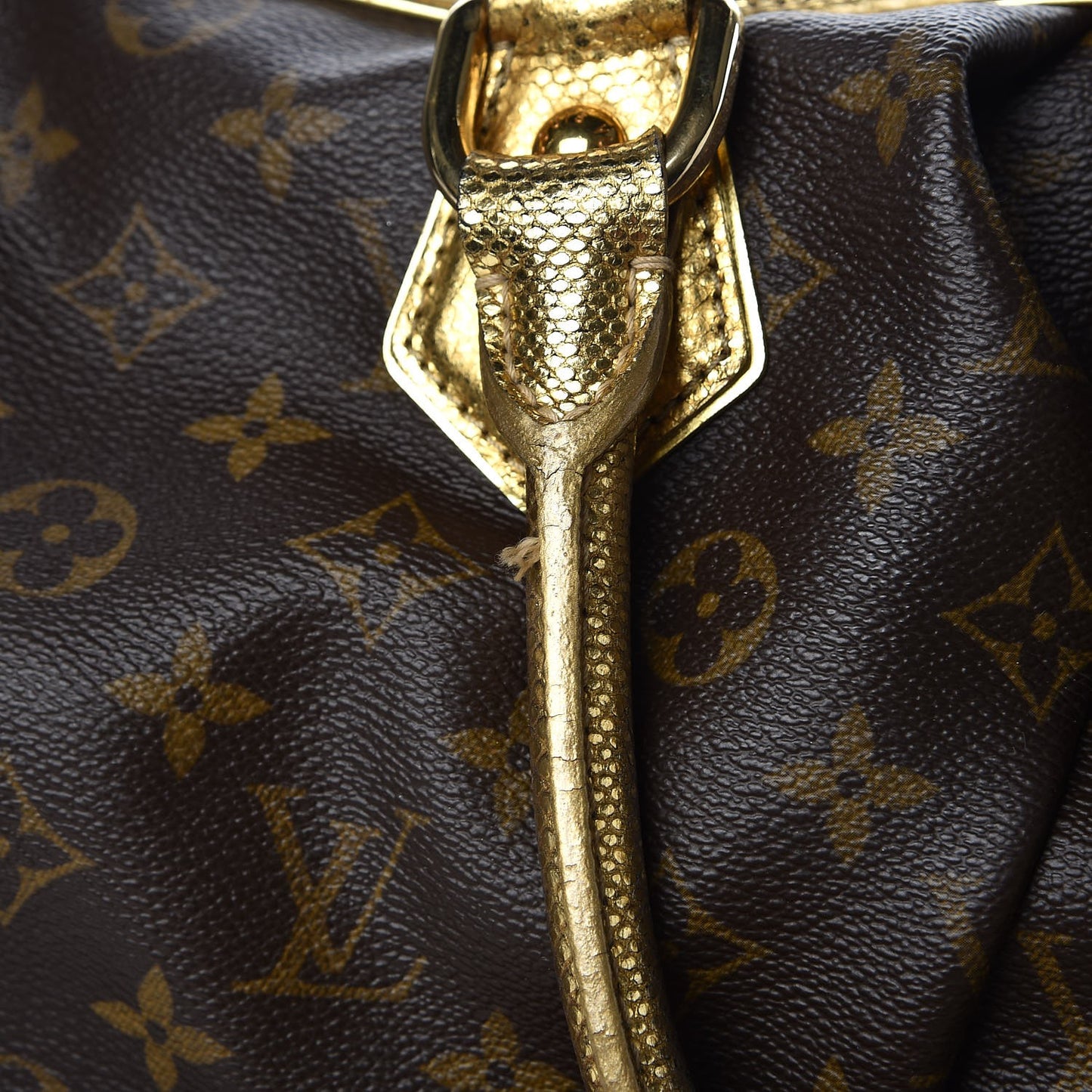 Monogram Leopard Stephen Bag