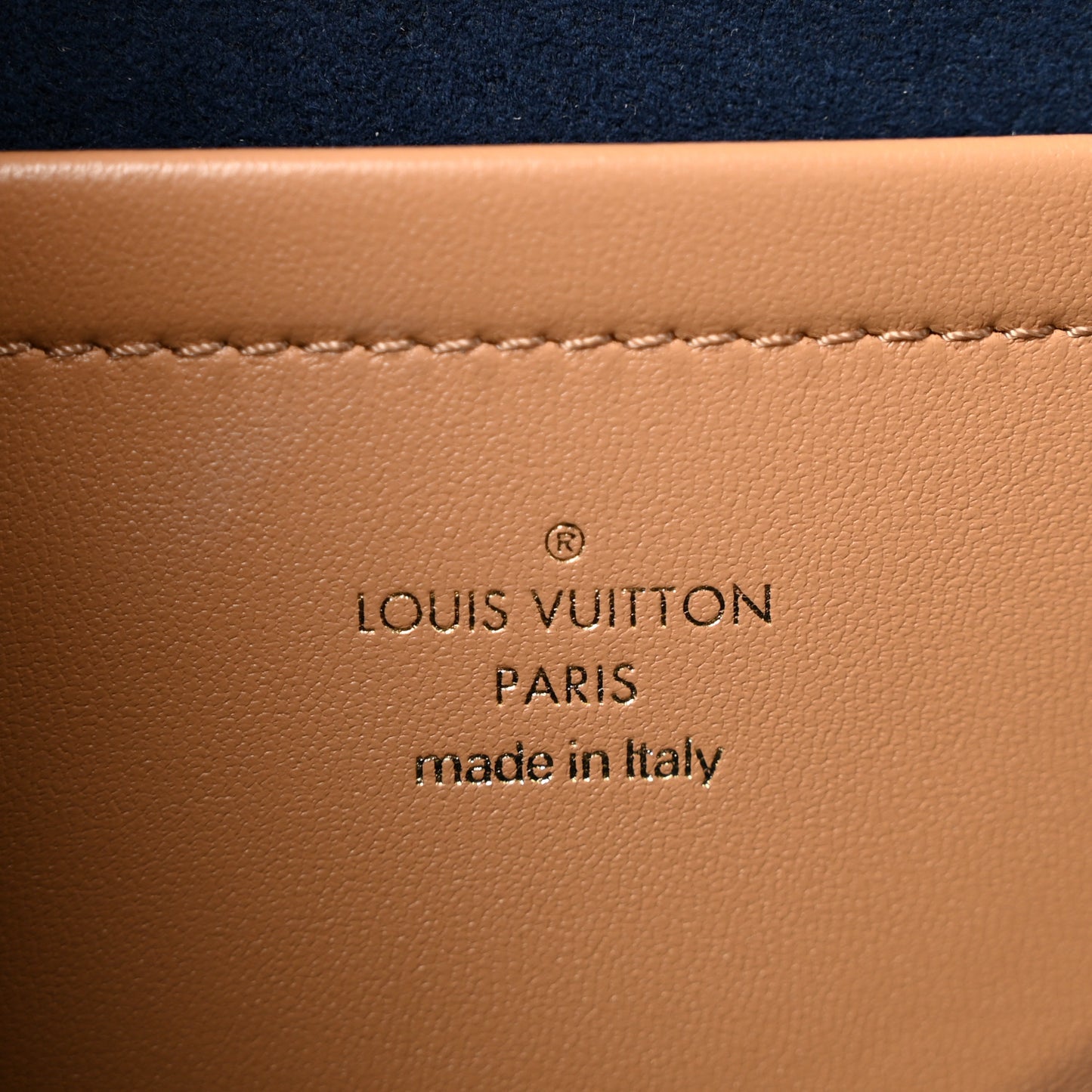 Lambskin Embossed Monogram Pochette Coussin Camel