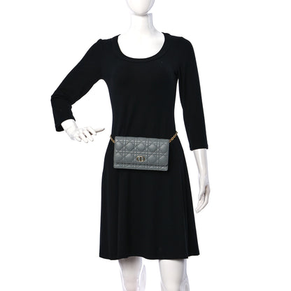 Christian Dior Supple Calfskin Caro Belt Bag Grey 2 of 10