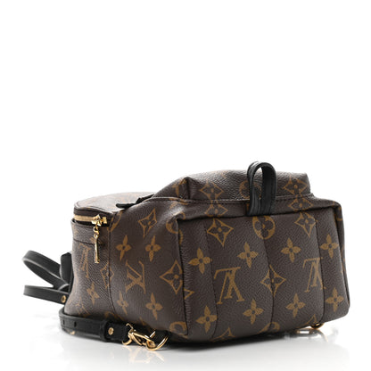 Louis Vuitton Monogram Palm Springs Backpack Mini 4 of 12