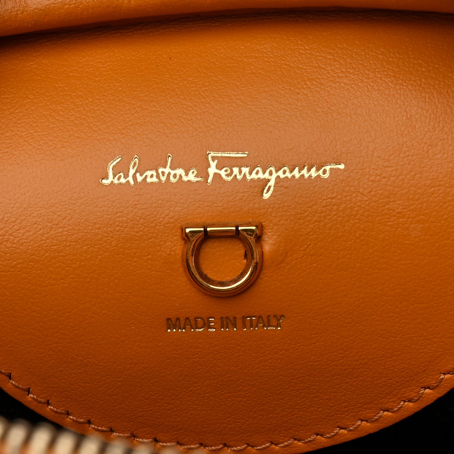 Calfskin Travel Camera Crossbody Bag Olivello
