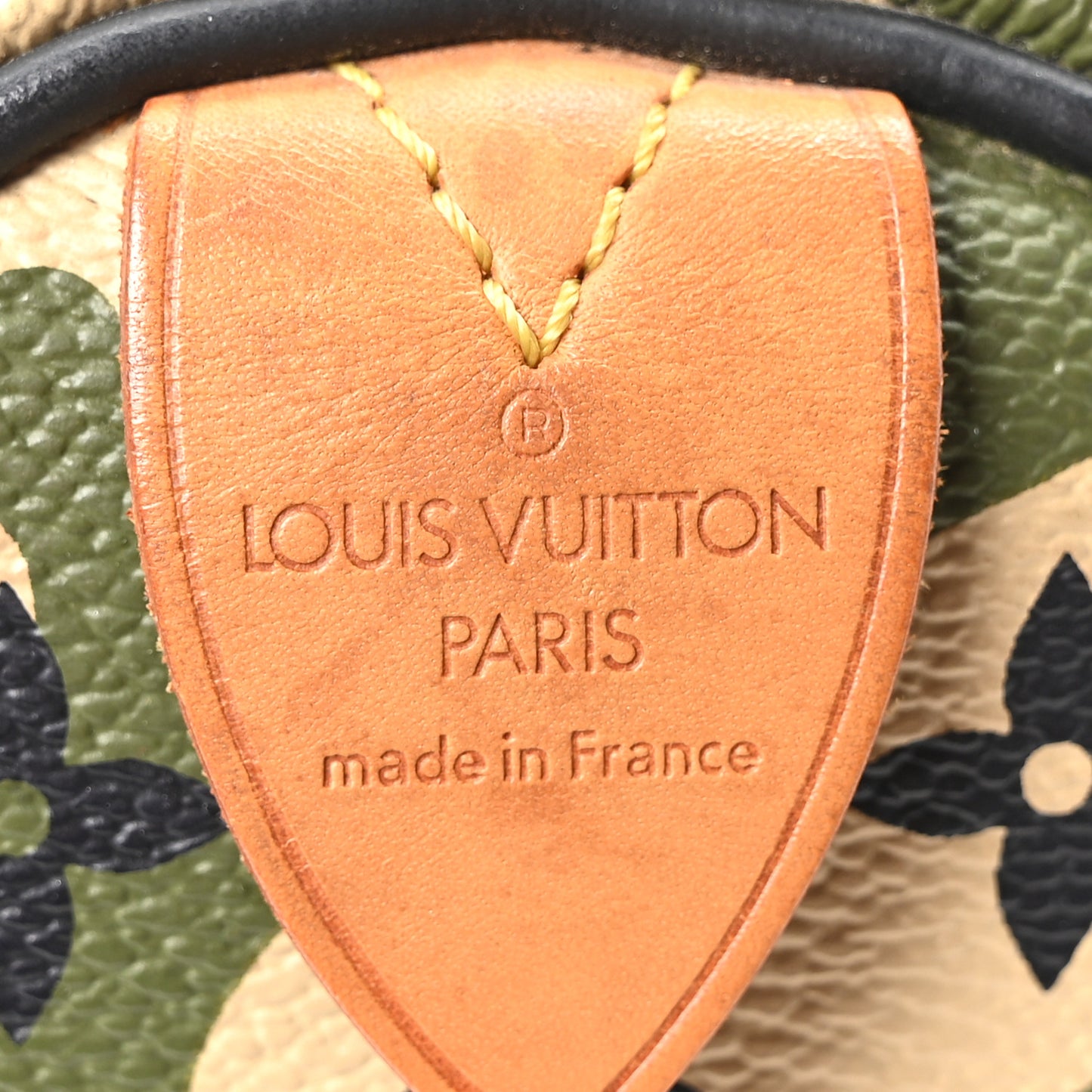 Monogram Camouflage Speedy 35