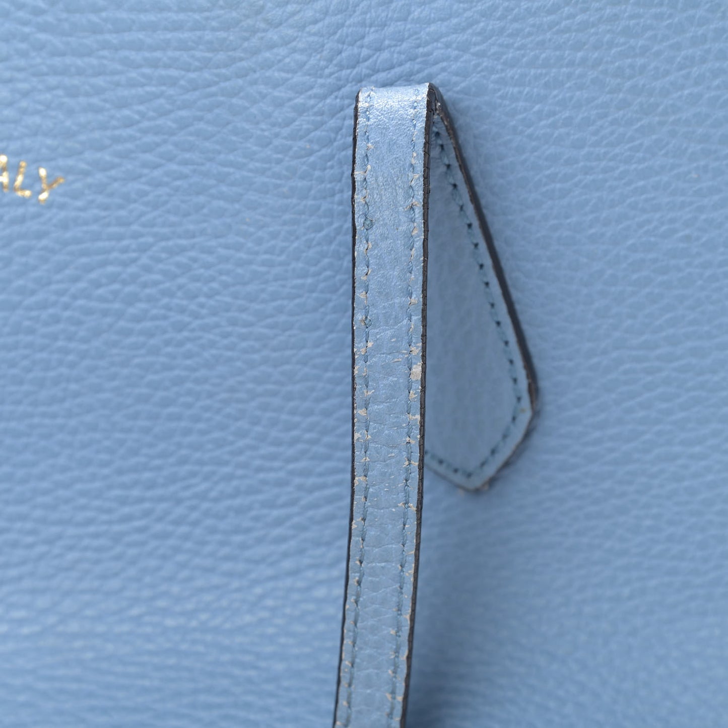 Dollar Calfskin Medium Swing Tote Mineral Blue