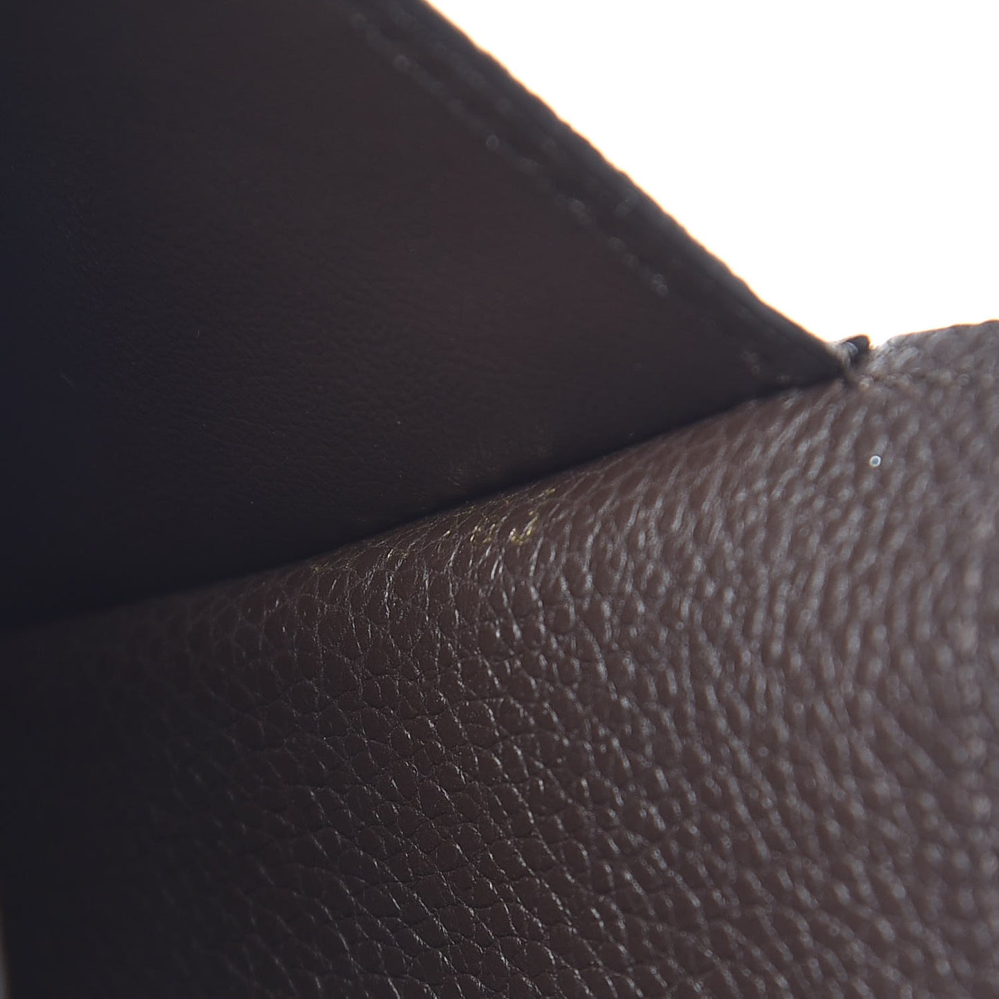 Empreinte Curieuse Compact Wallet Terre