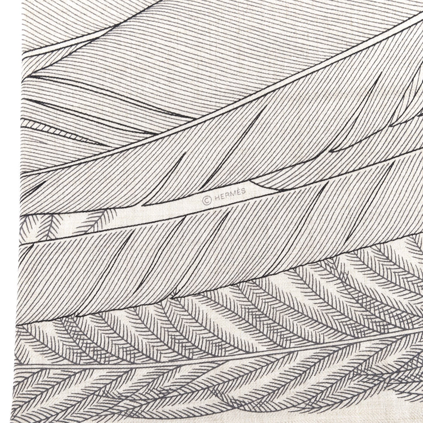 Cashmere Silk Plumes En Fete Shawl 140 Naturel Black