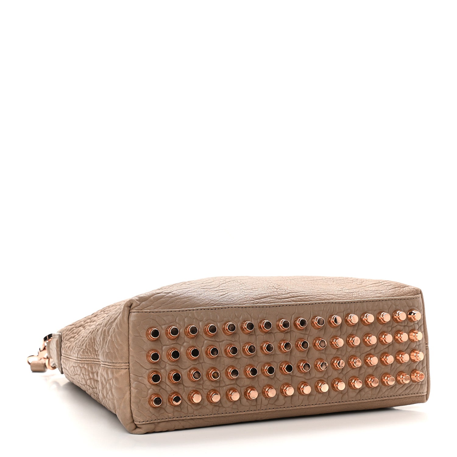 Alexander Wang Pebbled Lambskin Darcy Hobo Latte Rose Gold Hardware 4 of 11