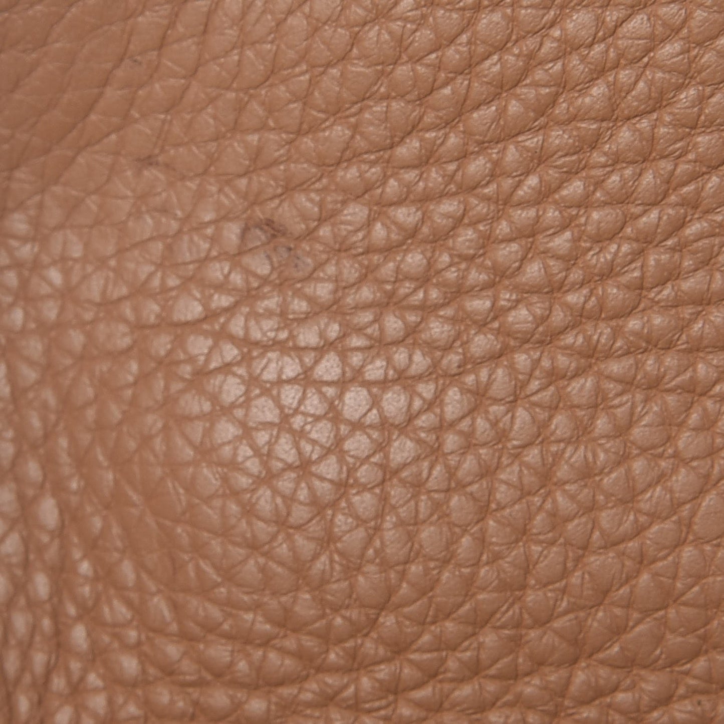 Taurillon Clemence Kelly Retourne 32 Tabac