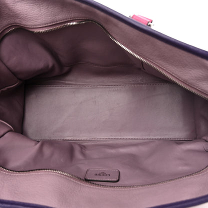 Loewe Goatskin Amazona Purple 5 of 13