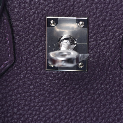 Hermes Togo Birkin 25 Raisin 7 of 34