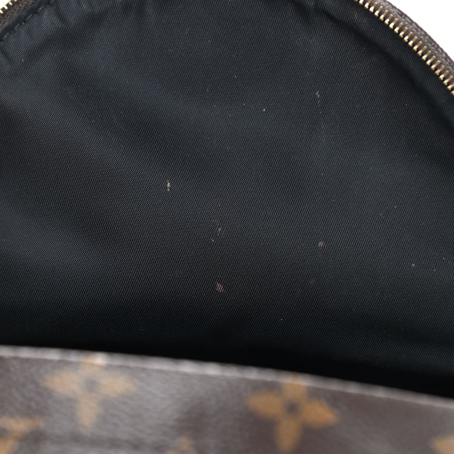 Monogram Palm Springs Backpack Mini