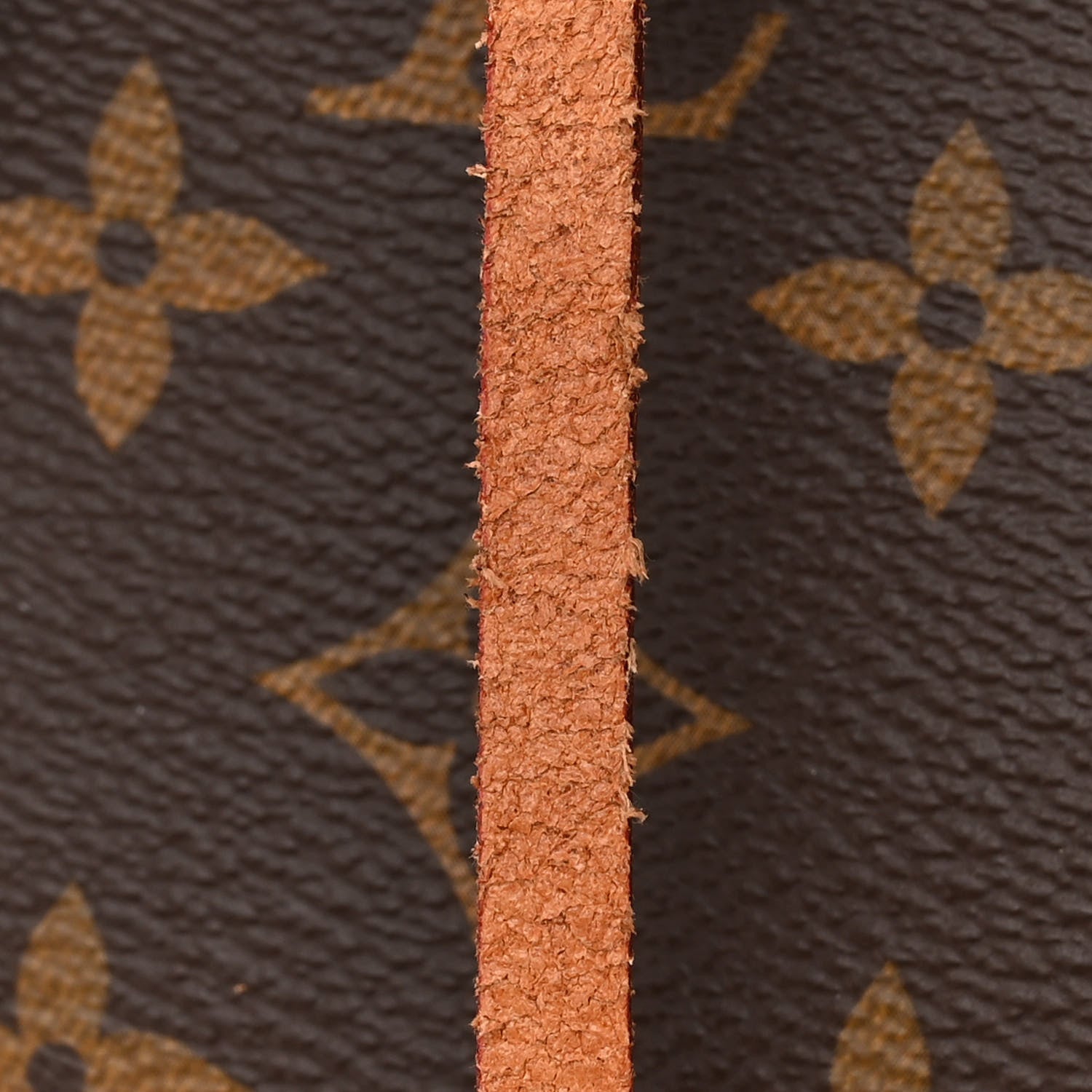 Louis Vuitton Monogram Petit Noe NM 13 of 13