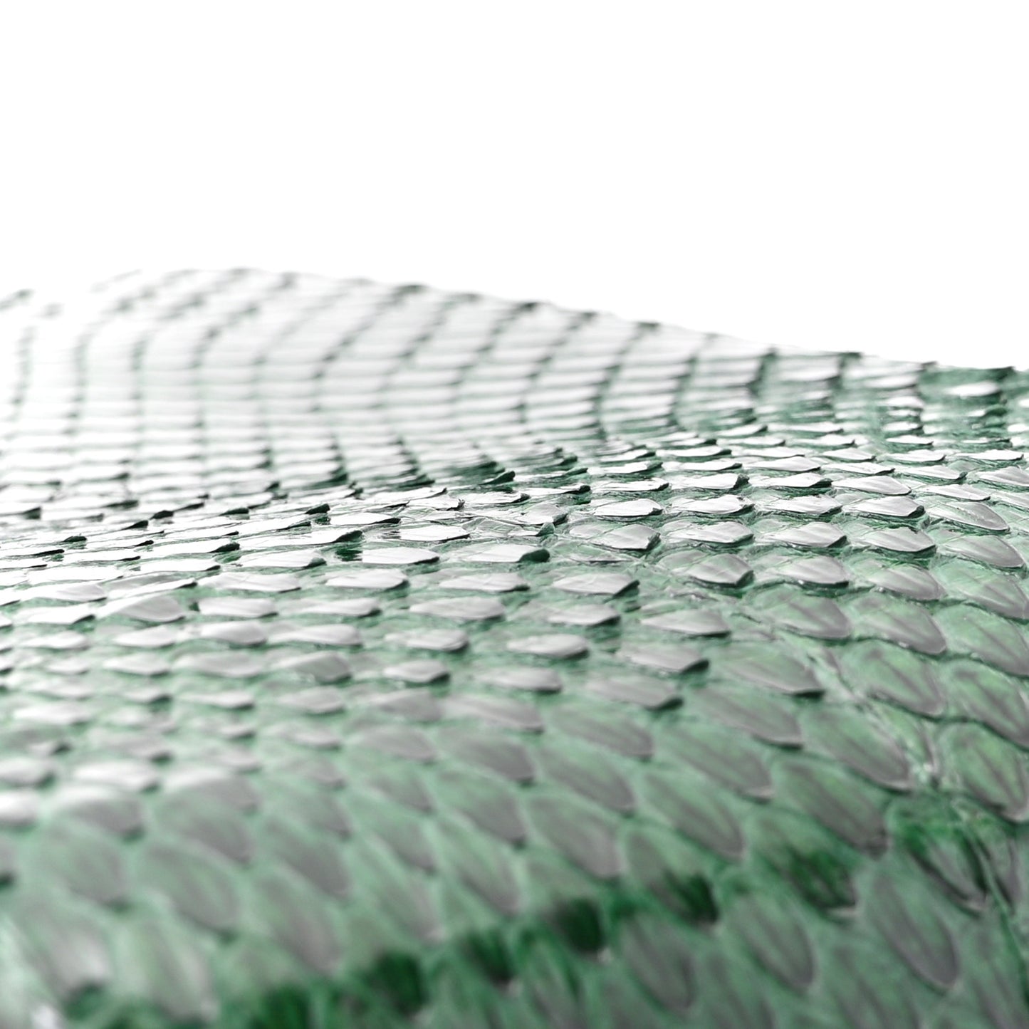 Watersnake Teen Triomphe Green