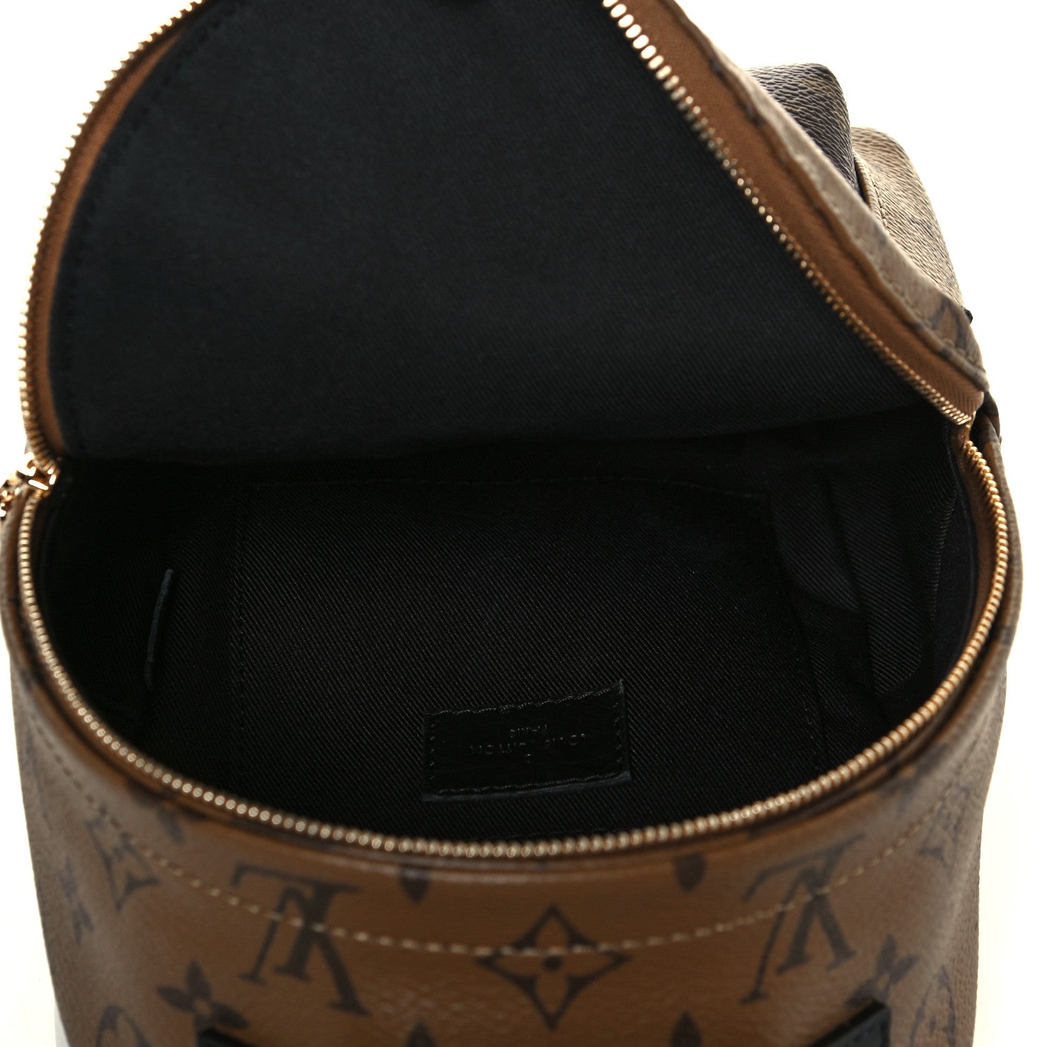 Louis Vuitton Reverse Monogram Palm Springs Backpack Mini 5 of 15