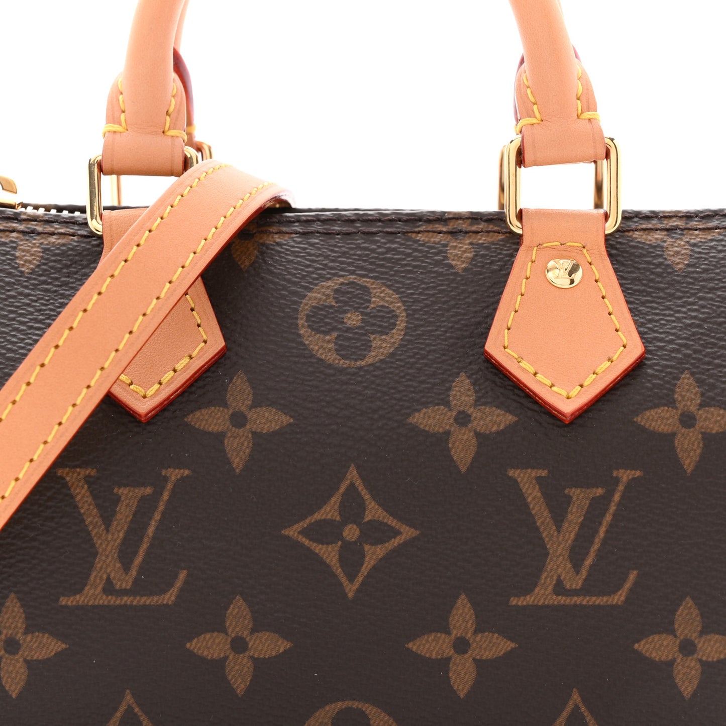 Monogram Nano Speedy Bandouliere
