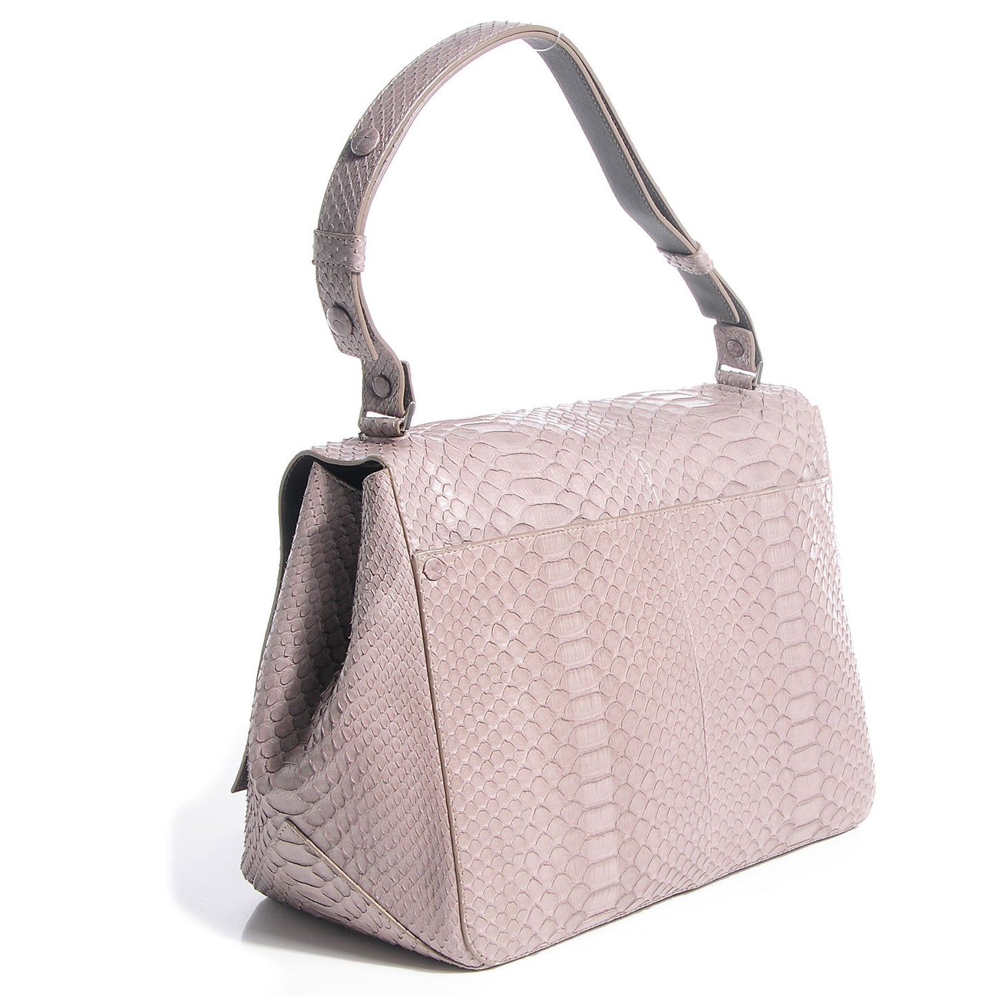 Python Large Courier Mushroom