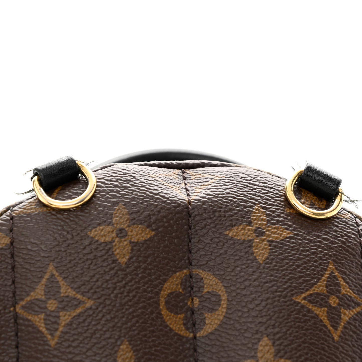 Monogram Palm Springs Backpack Mini