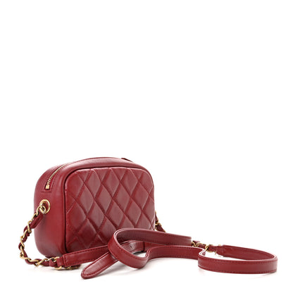 Chanel Lambskin Quilted Small Buckle Camera Case Bag Burgundy 3 of 11