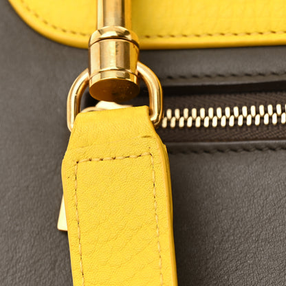 Celine Elephant Calfskin Small Tri-Color Trapeze Yellow 11 of 12